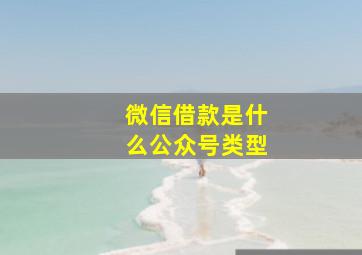 微信借款是什么公众号类型