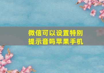 微信可以设置特别提示音吗苹果手机