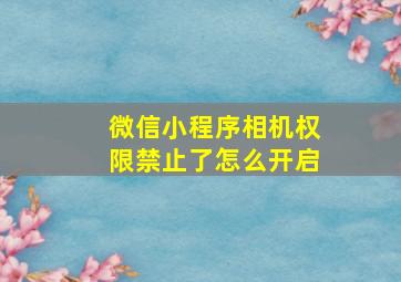 微信小程序相机权限禁止了怎么开启