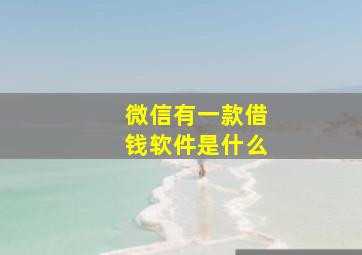 微信有一款借钱软件是什么