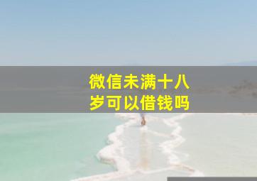 微信未满十八岁可以借钱吗