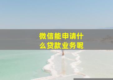 微信能申请什么贷款业务呢