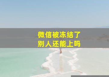 微信被冻结了别人还能上吗