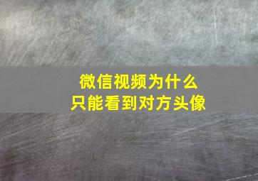 微信视频为什么只能看到对方头像