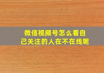 微信视频号怎么看自己关注的人在不在线呢