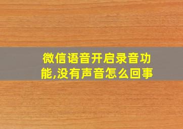 微信语音开启录音功能,没有声音怎么回事