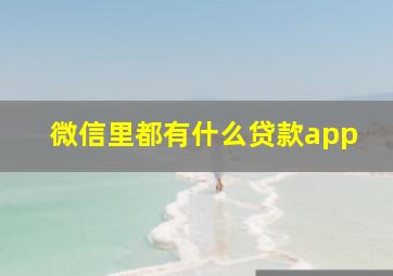 微信里都有什么贷款app