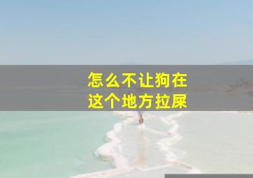 怎么不让狗在这个地方拉屎