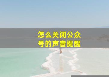 怎么关闭公众号的声音提醒