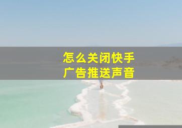 怎么关闭快手广告推送声音