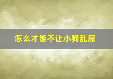 怎么才能不让小狗乱尿