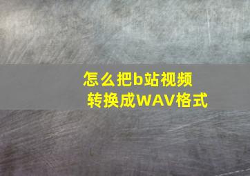 怎么把b站视频转换成WAV格式