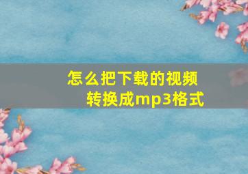 怎么把下载的视频转换成mp3格式