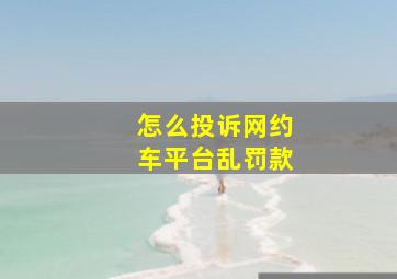 怎么投诉网约车平台乱罚款