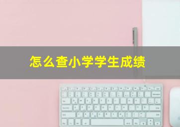 怎么查小学学生成绩