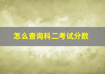 怎么查询科二考试分数