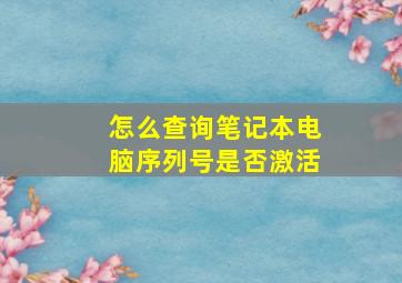 怎么查询笔记本电脑序列号是否激活