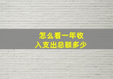 怎么看一年收入支出总额多少