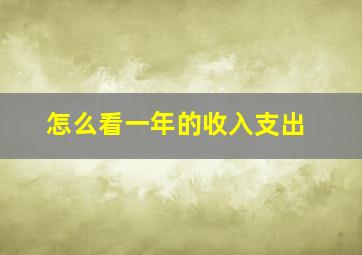 怎么看一年的收入支出