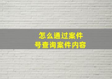 怎么通过案件号查询案件内容