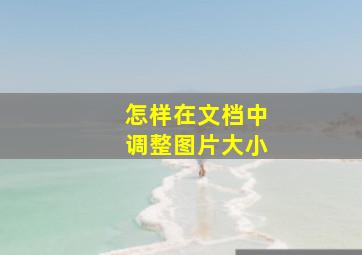 怎样在文档中调整图片大小