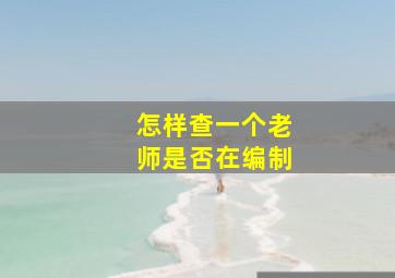 怎样查一个老师是否在编制