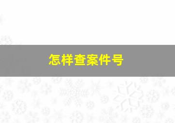 怎样查案件号