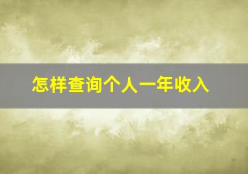 怎样查询个人一年收入