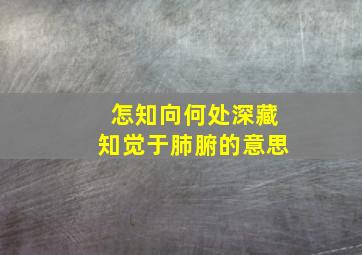 怎知向何处深藏知觉于肺腑的意思