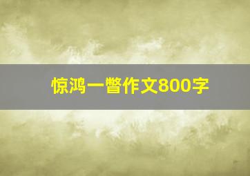 惊鸿一瞥作文800字