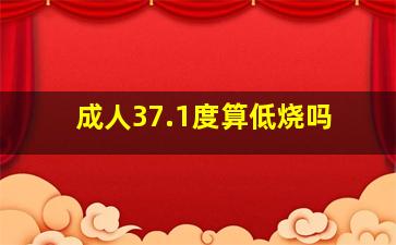 成人37.1度算低烧吗