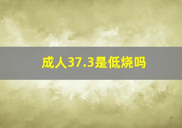 成人37.3是低烧吗