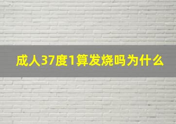 成人37度1算发烧吗为什么