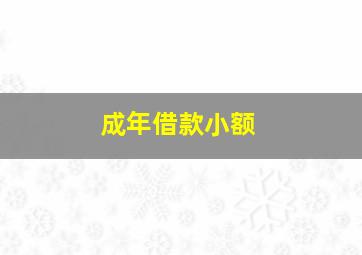 成年借款小额