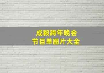 成毅跨年晚会节目单图片大全