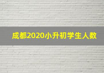 成都2020小升初学生人数