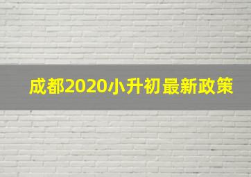 成都2020小升初最新政策