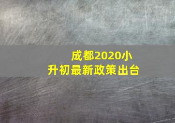 成都2020小升初最新政策出台