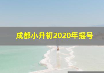 成都小升初2020年摇号