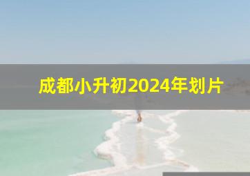 成都小升初2024年划片