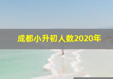 成都小升初人数2020年