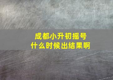 成都小升初摇号什么时候出结果啊