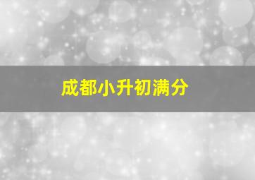 成都小升初满分