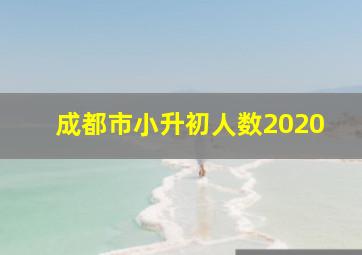 成都市小升初人数2020