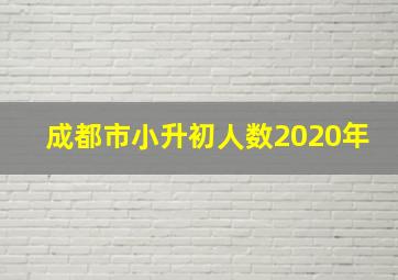 成都市小升初人数2020年