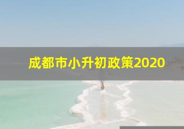 成都市小升初政策2020