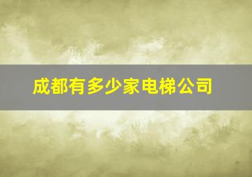 成都有多少家电梯公司