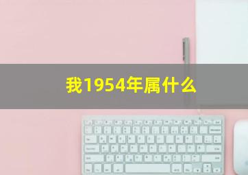 我1954年属什么