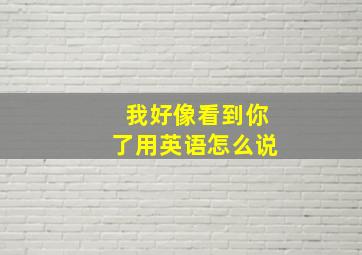 我好像看到你了用英语怎么说