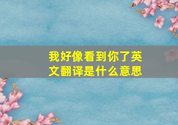 我好像看到你了英文翻译是什么意思